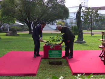 Momen Jokowi dan Presiden Timor Leste Jose Ramos Horta Tanam Pohon Gaharu