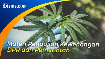 MK Tolak Uji Materi Legalisasi Ganja Medis