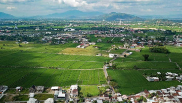 Lahan Pertanian di Kota Mataram Mulai Menyusut