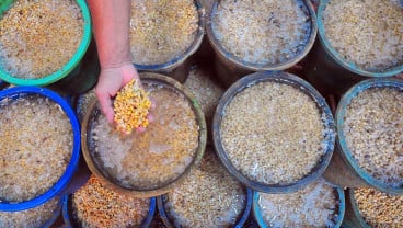 Pemerintah Berikan Subsidi Kedelai Sebesar Rp1.000 Kepada Produsen Tahu dan Tempe