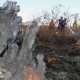 Sembilan Orang Dalang Kebakaran Hutan di Riau Ditangkap