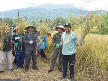 Desa Cikurubuk di Sumedang Jadi Role Model Budi Daya Padi Organik
