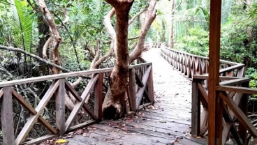 Sulbar Siapkan 125 Hektare Lahan Pertanaman Mangrove