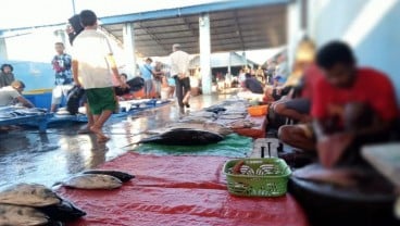 Harga Ikan Terimbas Angin Kencang dan Ombak Tinggi