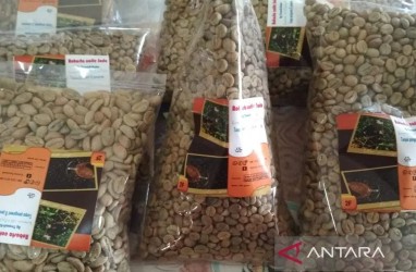 Kopi Muria Diusulkan Jadi Tanaman Khas Kudus