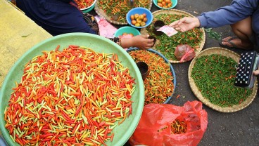 Harga Cabai Rawit di Wonogiri Turun Menjadi Rp60.000 Per Kilogram