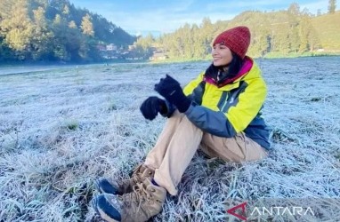 Fenomena Embun Upas di Ranupani Mencuri Perhatian Pelancong