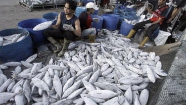 Kenaikan Harga Patokan Ikan Sukses Bawa PNBP Tumbuh 100 Persen