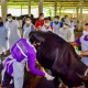 Vaksinasi Hewan Ternak di Jatim Capai 377.985 Dosis