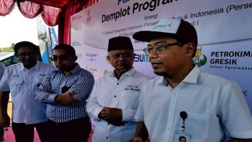 ID Food Menargetkan Produksi Gula Tembus 473.000 Ton pada 2025