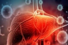 WHO: 60 Juta Orang di Dunia Idap Hepatitis B Kronis