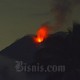 Deretan Gunung Tertinggi di Indonesia