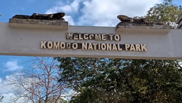 Tarif Masuk Taman Nasional Komodo Tetap Rp5.000, Ini Syaratnya