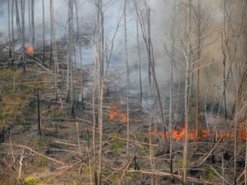 130,5 Hektare Lahan Terbakar, Polda Riau Tetapkan 9 Tersangka Karhutla