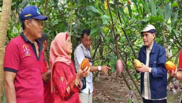 GPEI Jatim Dorong Petani Kakao Genjot Produktivitas