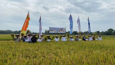 Jaga Ketahanan Pangan, OKI Optimalkan Potensi Lahan Pertanian