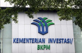 Ini 10 Nilai Proyek Investasi Berkelanjutan yang Diminati Investor