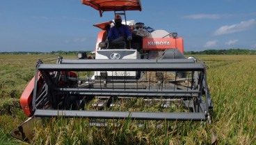 Nilai Tukar Petani Terus Melorot, SPI Minta Pemerintah Ambil Langkah