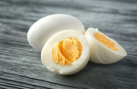 Manfaat Ajaib Telur Rebus yang Mungkin Belum Anda Ketahui