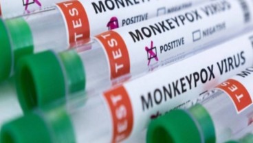 Monkeypox Global: 26.864 Kasus di 87 Negara, AS Terbanyak