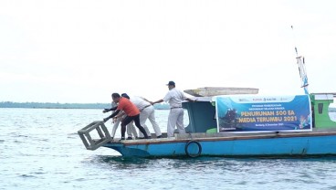 13 Tahun Komitmen Konservasi Terumbu, PKT Raih Penghargaan AREA 2022 Kategori Social Empowerment