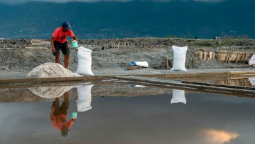 Gegara Covid-19,  Target Serapan Garam Lokal Tahun Lalu Meleset