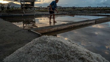 Serapan Garam Lokal Rendah, Kemenperin Malah Turunkan Target