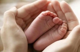 Miris, Bayi 6 Bulan Meninggal Dunia karena Diajak Nonton Persebaya vs Persita