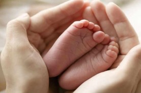 Miris, Bayi 6 Bulan Meninggal Dunia karena Diajak…
