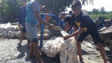 Harga Karet Petani Langkat Rp11.400 per Kg, Turun Rp300 Pekan Ini