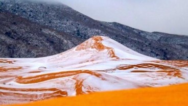 Gurun Sahara Viral di Tiktok, Kok Bisa? 