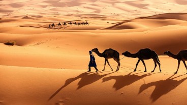 Sejarah dan Temuan Rahasia di Gurun Sahara