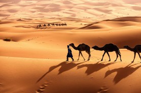 Viral di TikTok! Simak 12 Fakta Gurun Sahara, Ada…