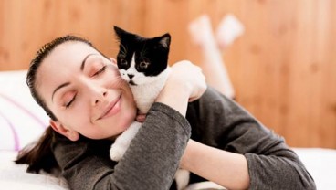 Sejarah dan Makna Hari Kucing Sedunia