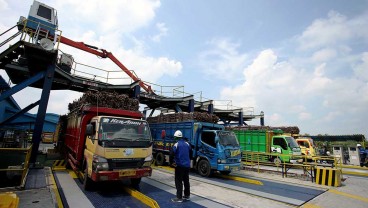 Produksi Gula Terhambat, Rejoso Manis Indo: Jalan Banyak Rusak