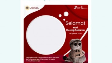 Ini 10 Link Twibbon Hari Kucing Internasional