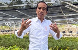 Jokowi Perintahkan BMKG Identifikasi Risiko Perubahan Iklim Secara Menyeluruh