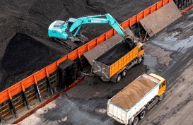 ESDM Blokir Akses Ekspor 48 Perusahaan Batu Bara, Ini Alasannya