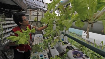 BI Jabar Yakin Urban Farming Bisa Jadi Salah Satu Solusi Tekan Inflasi