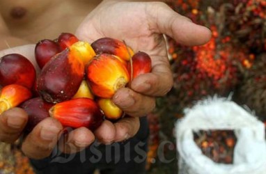 Prospek Saham Astra Agro (AALI) Berkelit dari Dinamika Regulasi dan Produktivitas Rendah