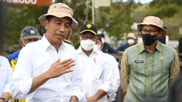 Krisis Pangan, Jokowi Minta Tanam Kelapa Genjah di Lahan Tak Produktif