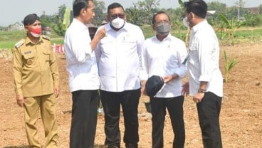 Jokowi Dorong Pemanfaatan Lahan Pekarangan dan Lahan Tidak Produktif