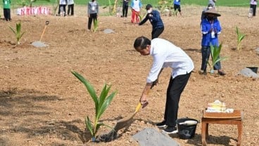 Jokowi Tanam Perdana Kelapa Genjah di Sukoharjo, 200.000 Bibit Bakal Dibagikan