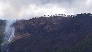 Titik Panas di Sumut Meningkat 942 Persen, Kebakaran Hutan Terluas Melanda Samosir