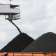 Incar Dana IPO Rp227 Miliar, Simak Rencana Black Diamond (COAL)