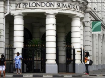 Penyebab Penjualan CPO London Sumatra LSIP Turun Semester I, Laba Masih Naik
