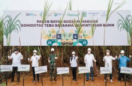 Pupuk Indonesia: Program Makmur Tingkatkan Produktivitas Tebu