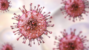 Ilmuwan Taiwan Kembangkan Alat Tes PCR untuk Deteksi Virus Langya