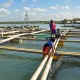 Eks Pekerja KJT dan KJA di Jatigede Diberi Modal untuk Usaha Tangkap dan Budi Daya Ikan