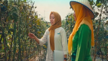 Dukung Petani Perempuan, GGF Dampingi Kelompok Wanita Tani Lampung Tengah 